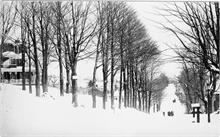 Shady Villa looking west